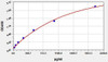 Mouse ATF6 (Activating transcription factor 6) ELISA Kit (AEFI01490)