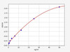 Rat SGLT2 ColorStep ELISA Kit (AEFI02116)