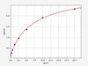 Human FOXP3 ColorStep ELISA Kit (AEFI02315)