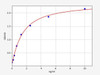 Human CLC (Eosinophil lysophospholipase) ColorStep ELISA Kit (AEFI02518)