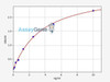 Human CPB1 (Carboxypeptidase B1) ColorStep ELISA Kit (AEFI02602)