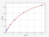 Human IHH (Indian hedgehog protein) ColorStep ELISA Kit (AEFI02664)