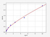 Rat AIFM1 ColorStep ELISA Kit (AEFI02779)
