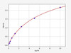 Rat MBP (Myelin basic protein) ColorStep ELISA Kit (AEFI03218)