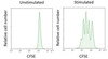 Mouse CD3/CD28 T Cell Activation Beads (AKES213)