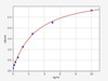 Porcine Infertility ELISA Sampler Pack (SKGE0071)