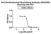 Anti-Pembrolizumab Neutralizing Antibody [SAA2584]