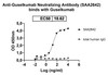 Anti-Guselkumab Neutralizing Antibody [SAA2642]