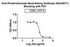 Anti-Pembrolizumab Neutralizing Antibody [SAA2817]
