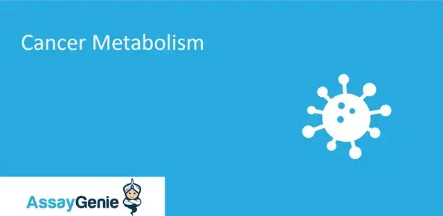 がんの代謝：腫瘍形成、代謝療法、ヴァールブルグ効果