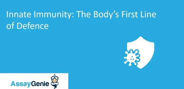 成長因子: 生物学的プロセスにおける重要な役割