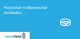 ポリクローナル抗体とモノクローナル抗体: 主な特徴