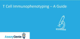 T 細胞の免疫表現型検査 - ガイド