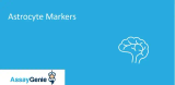 アストロサイトマーカー: ガイド