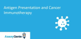 抗原提示細胞（APC）と癌免疫療法