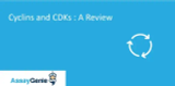 サイクリンとサイクリン依存性キナーゼ – レビュー
