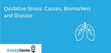 酸化ストレス: 原因、バイオマーカー、病気
