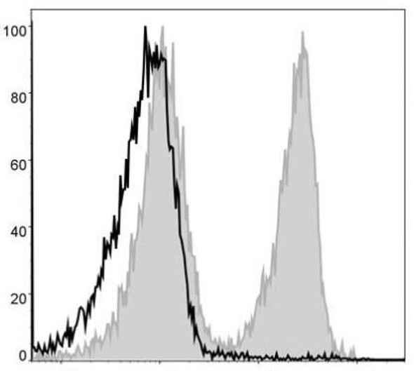 PerCP Anti-Mouse CD3 Antibody [17A2] (AGEL0101)