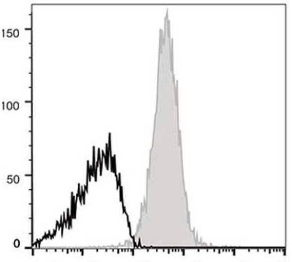 APC Anti-Mouse CD48 Antibody [HM48-1] (AGEL0113)