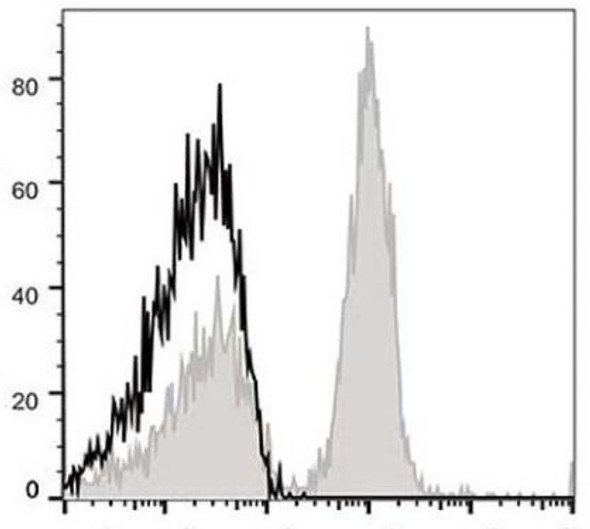 APC Anti-Mouse CD40 Antibody [FGK4.5/FGK45] (AGEL0143)