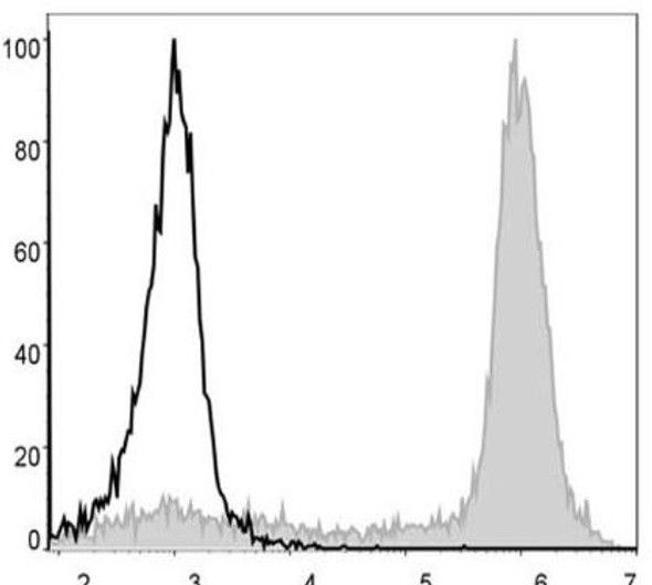 PE/Cyanine5 Anti-Mouse/Human CD11b Antibody [M1/70] (AGEL0310)