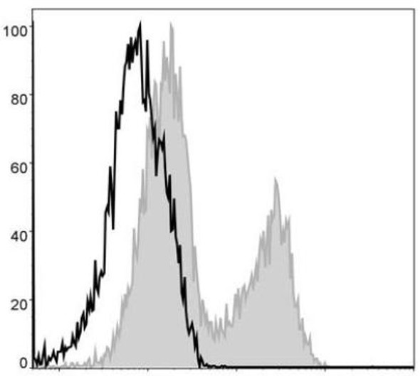 PerCP Anti-Mouse MHC II (I-A/I-E) Antibody [M5/114] (AGEL0502)