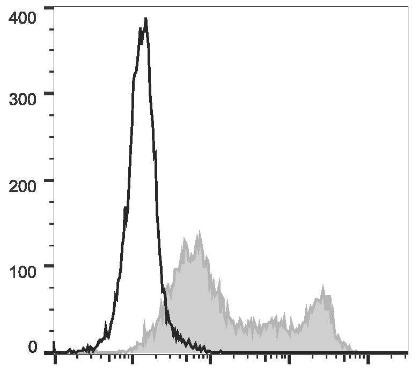 FITC Anti-Mouse CD86 Antibody [GL-1] (AGEL0544)