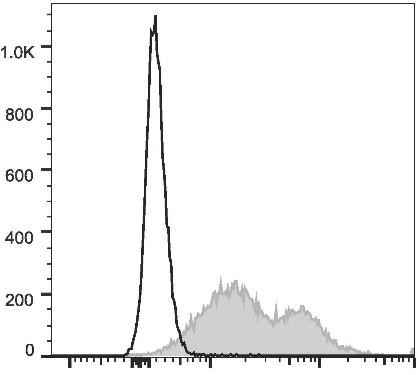 PE/Cyanine7 Anti-Mouse CD86 Antibody [GL-1] (AGEL0547)