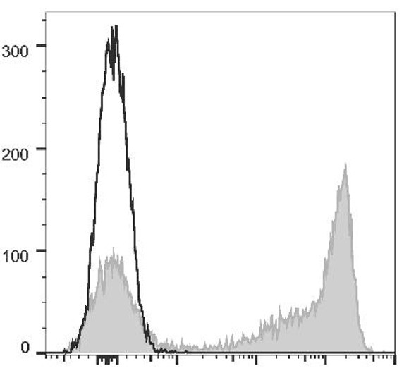 APC Anti-Mouse Ly-6G/Ly-6C (Gr-1) Antibody [RB6-8C5] (AGEL1481)