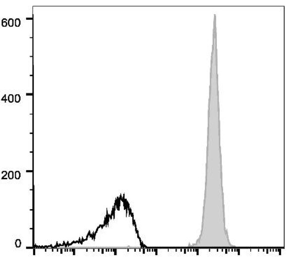 GenieFluor 647 Anti-Mouse CD45 Antibody [30-F11] (AGEL1666)