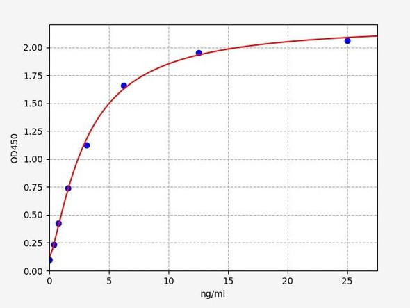 Human Angiotensin Converting Enzyme 2/ACE2 ELISA Kit (HUFI00026)