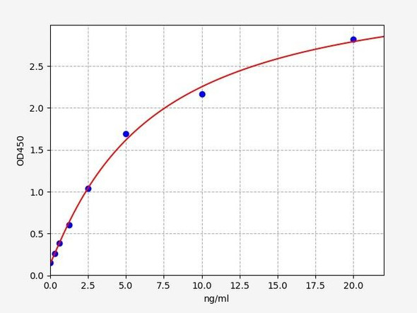 Rat GRIN1/NMDAR1 ELISA Kit (RTFI00174)