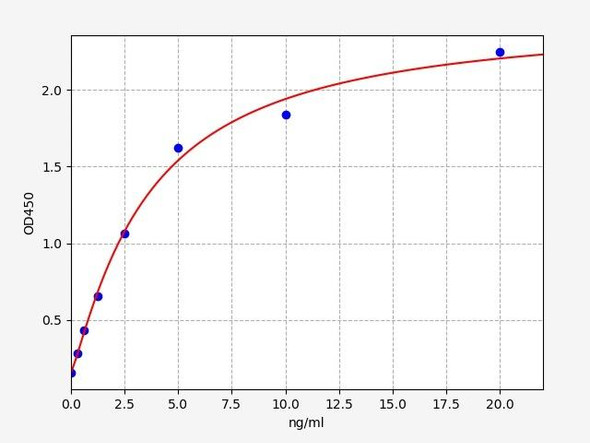Rat Metallothionein-1/MT-1 ELISA Kit (RTFI00309)