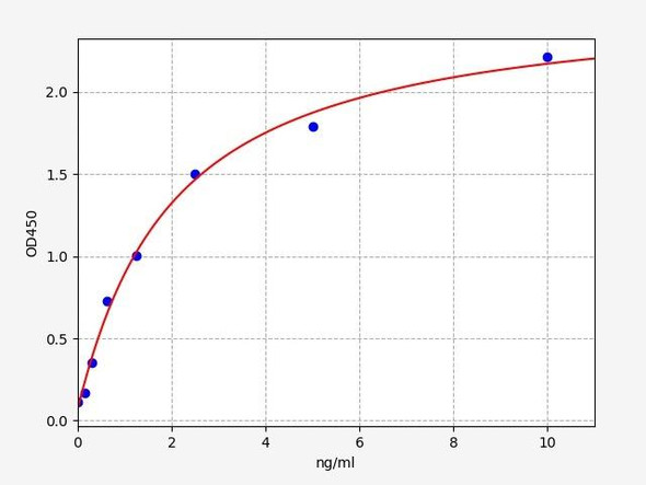 Rat MAP2 ELISA Kit