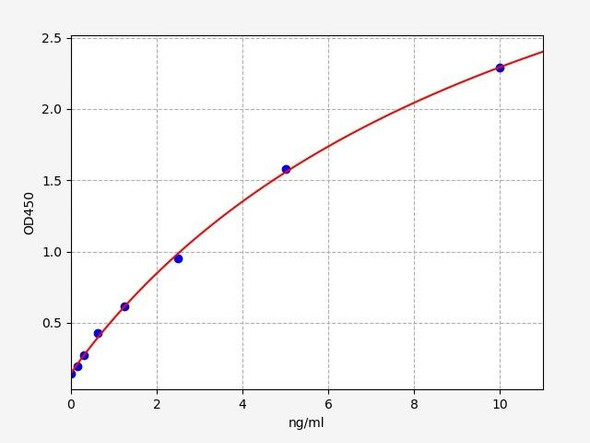 Rabbit Oct4/Octamer Binding Transcription Factor 4 ELISA Kit (RBFI00090)