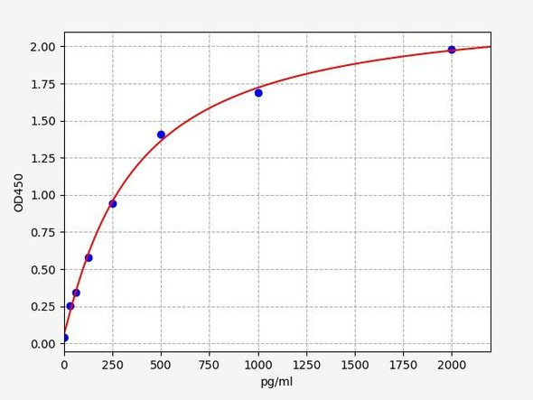 Rabbit TGF-beta 1/Transforming Growth Factor Beta1 ELISA Kit (RBFI00119)