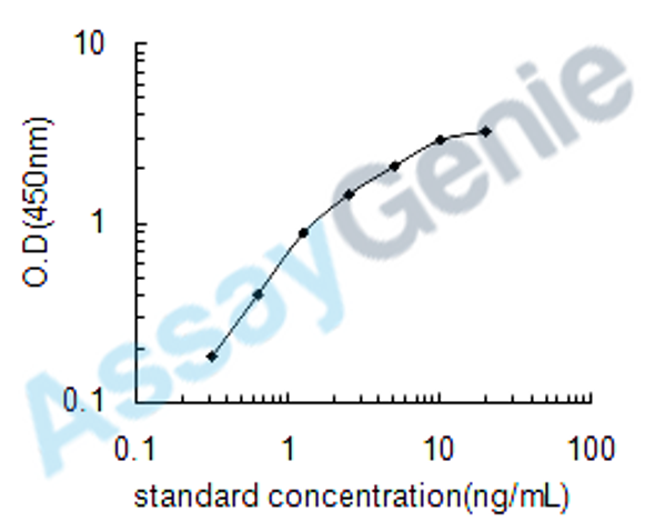 Human Caspase-3 (CASP3) ELISA Kit (HUEB0070)