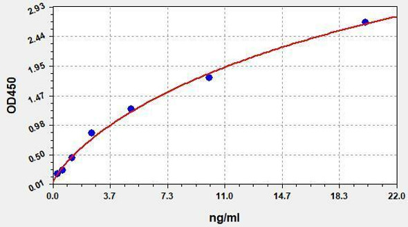 Sheep HSP 70(Heat Shock Protein 70) ELISA Kit