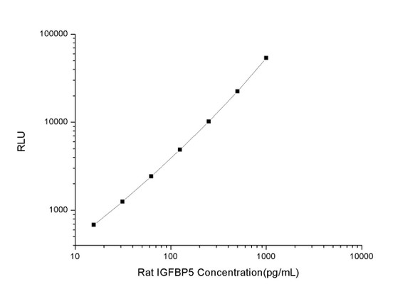 Rat IGFBP5 (Insulin Like Growth Factor Binding Protein 5) CLIA Kit (RTES00312)