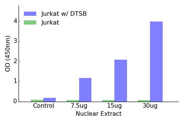 Elk3 (Phospho-Ser357)Transcription Factor Activity Assay (TFAB00024)