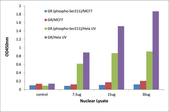 GR (Phospho-Ser211)Transcription Factor Activity Assay (TFAB00033)