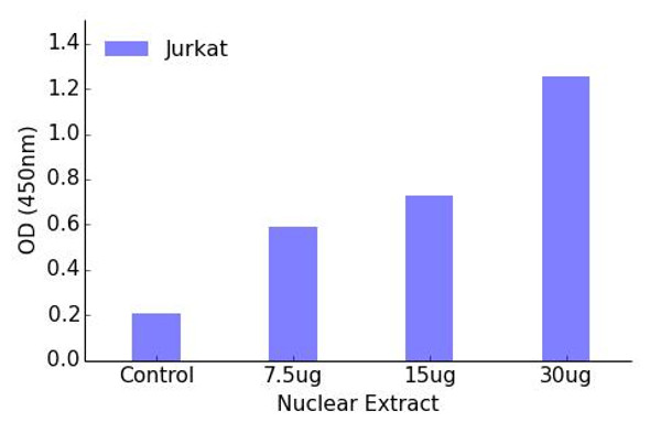 Myc (Phospho-Ser62)Transcription Factor Activity Assay (TFAB00036)