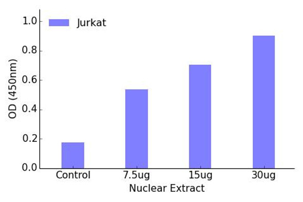 Myc (Phospho-Thr58)Transcription Factor Activity Assay (TFAB00037)