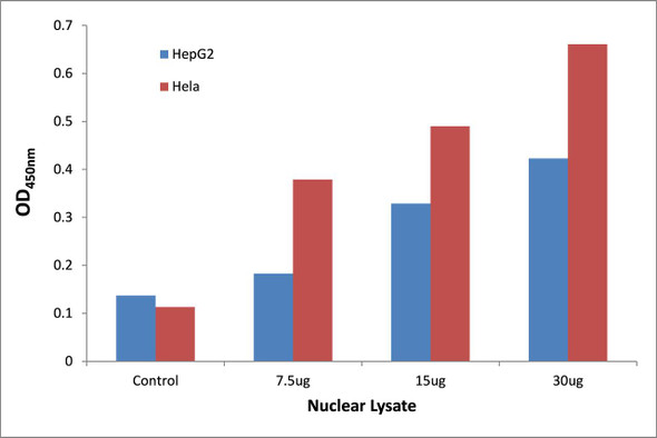 NF-kappaB p65 (Phospho-Ser276)Transcription Factor Activity Assay (TFAB00043)