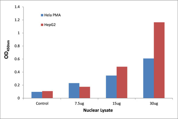 STAT5B (Phospho-Ser731)Transcription Factor Activity Assay (TFAB00058)