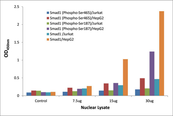 Smad1 (Phospho-Ser465)Transcription Factor Activity Assay (TFAB00063)