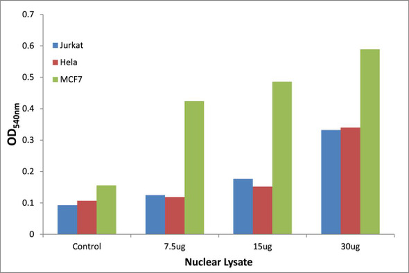 SOX-9 (Phospho-Ser181)Transcription Factor Activity Assay (TFAB00066)