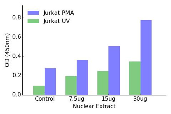 Fos Transcription Factor Activity Assay (TFAB00077)