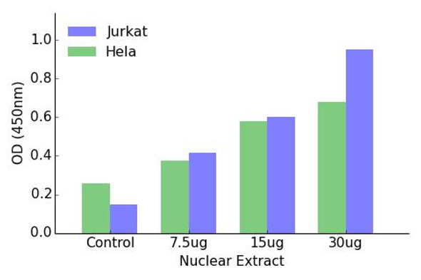 HOXA1/B1/D1 Transcription Factor Activity Assay (TFAB00122)