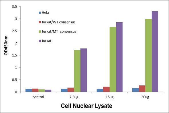 MYB Transcription Factor Activity Assay (TFAB00135)